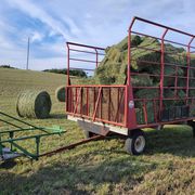 Horse quality Alfalfa,  Timothy and Orchard grass
